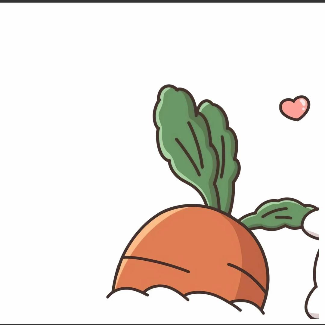 胡萝卜🥕