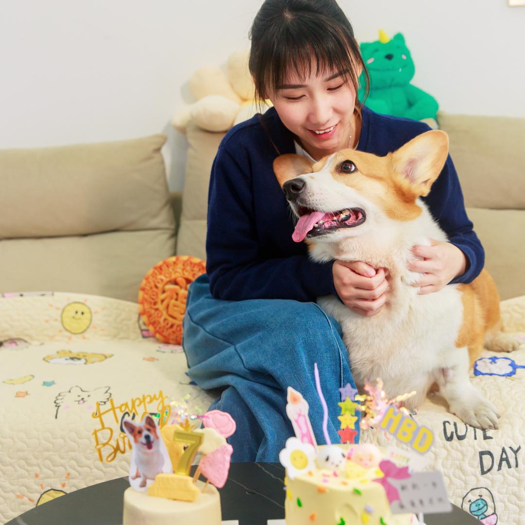 正紧短腿小啵子