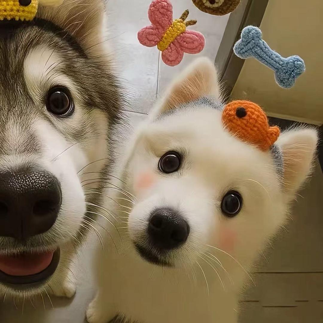 鹿苡O_