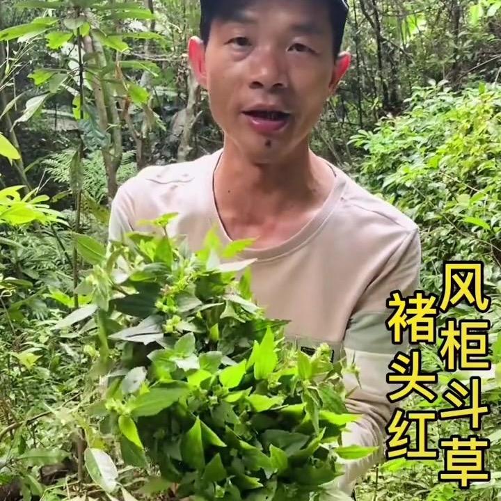 农村大兴哥
