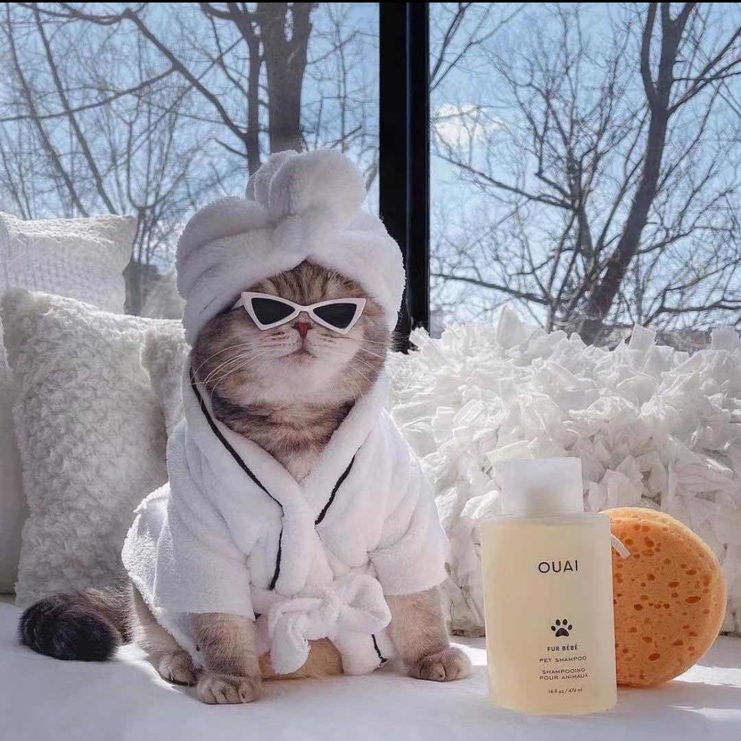 锦州鑫时名品服饰