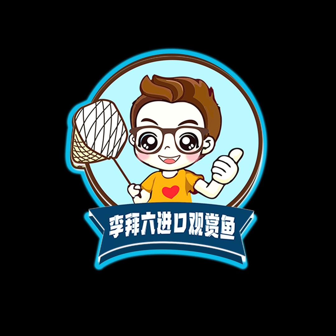 李拜六进口观赏鱼