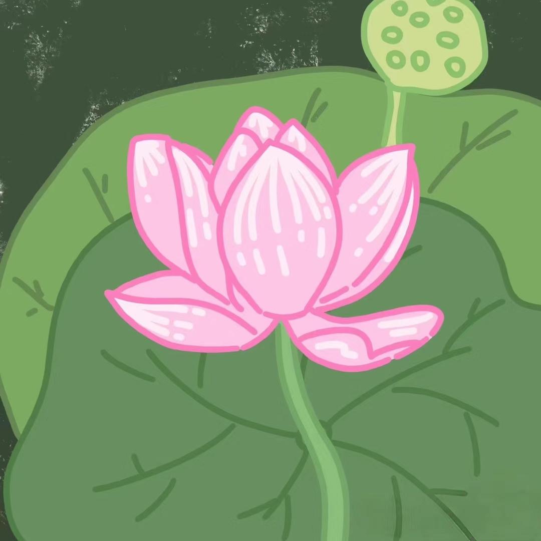 茶茶阿