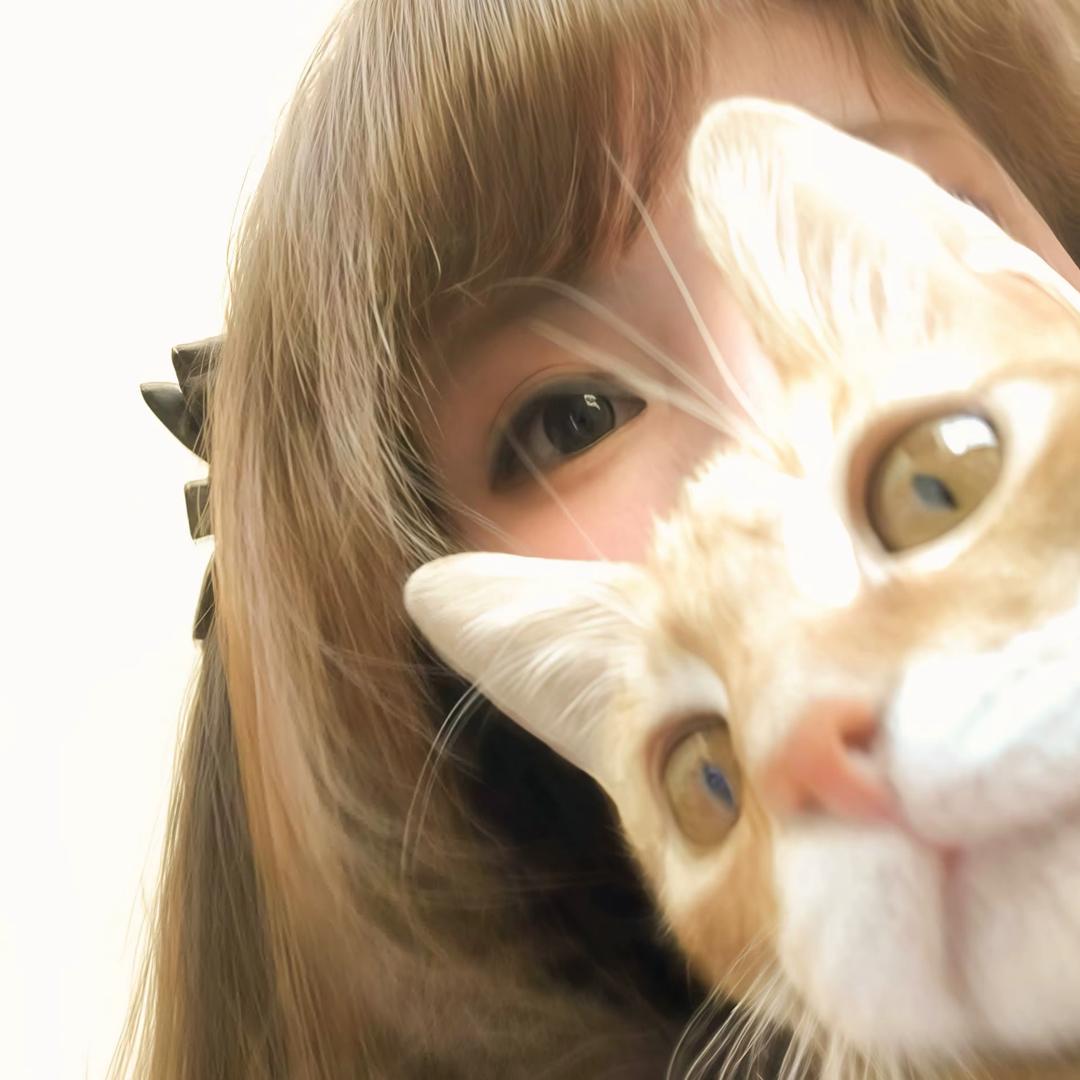 jello-7.🍀（噩运滚开版。）