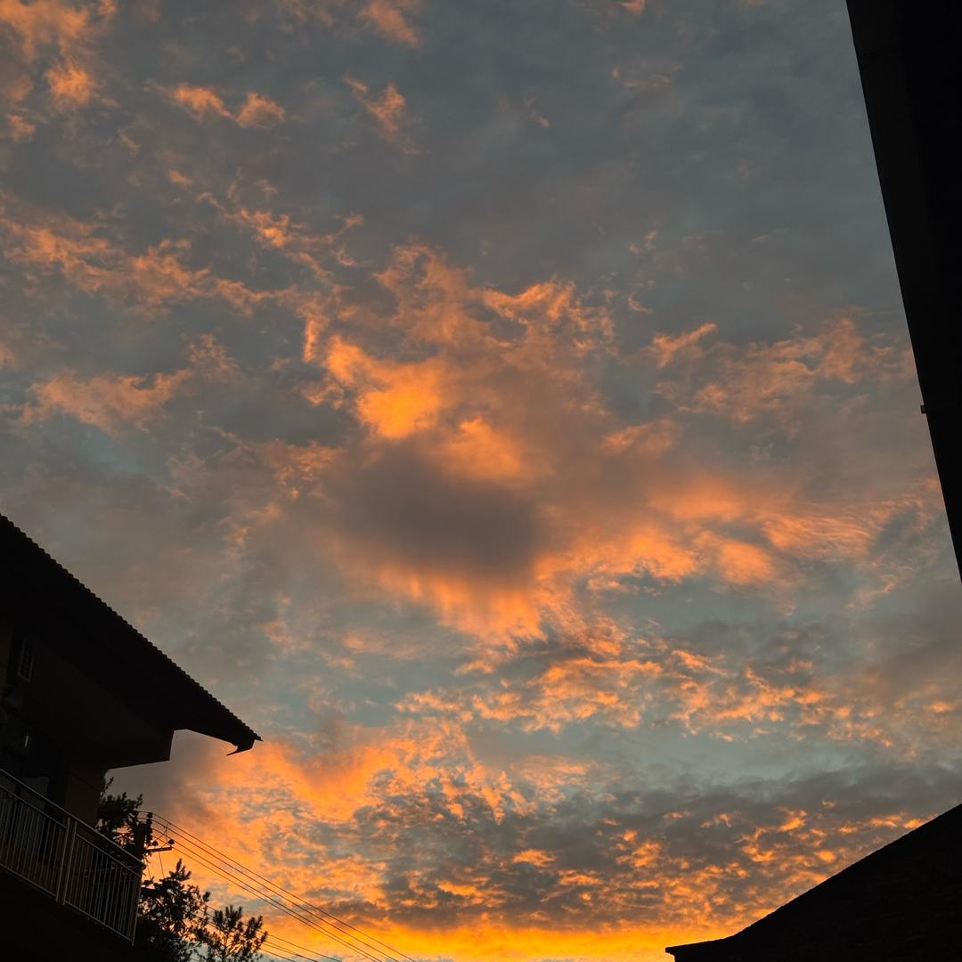 正儿八经的胡说八道