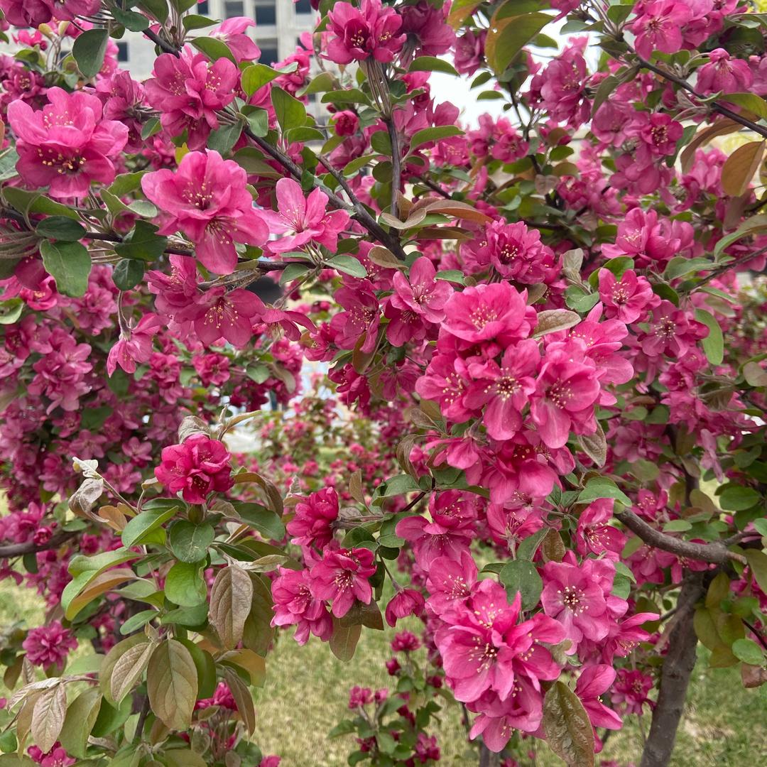 阳光