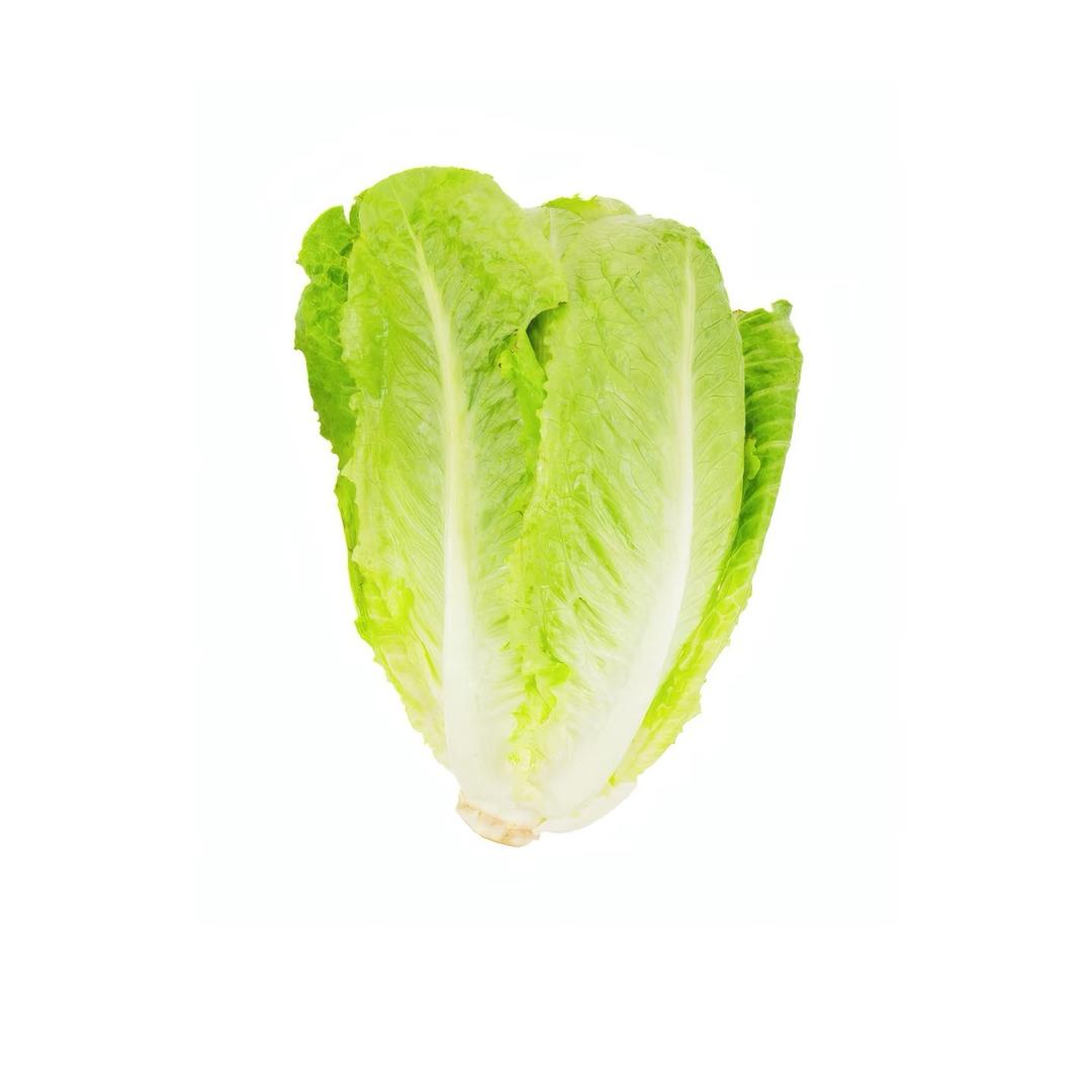 小chen不打拳🥊