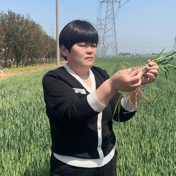 亿佳丰郝姐