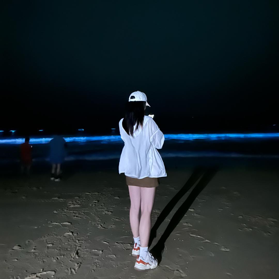 你当像鸟飞往你的山