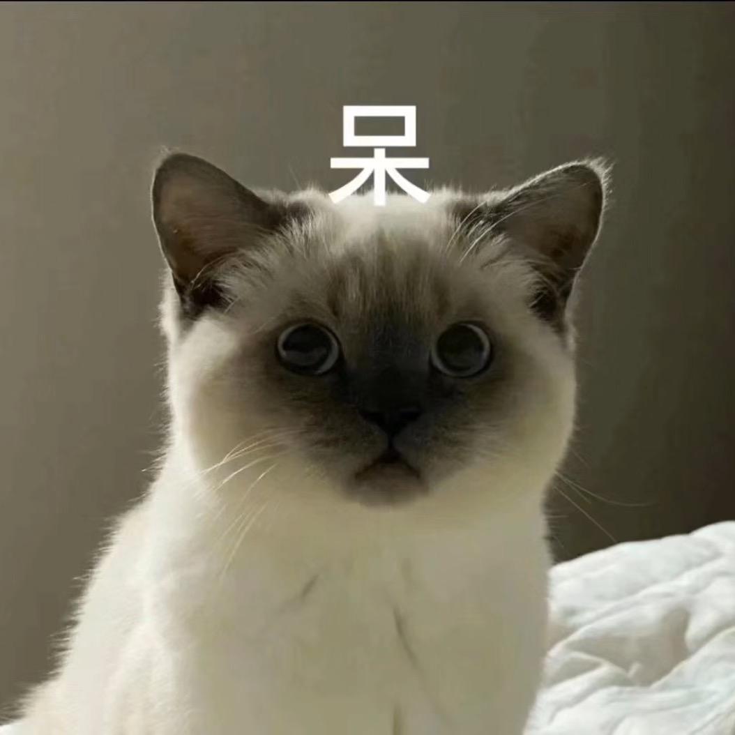 乐乐乐乐
