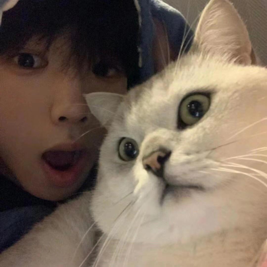 ㅤ￰
