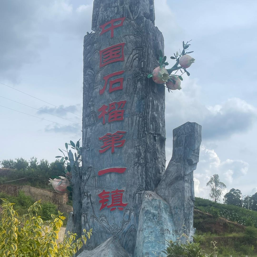 天天鲜果