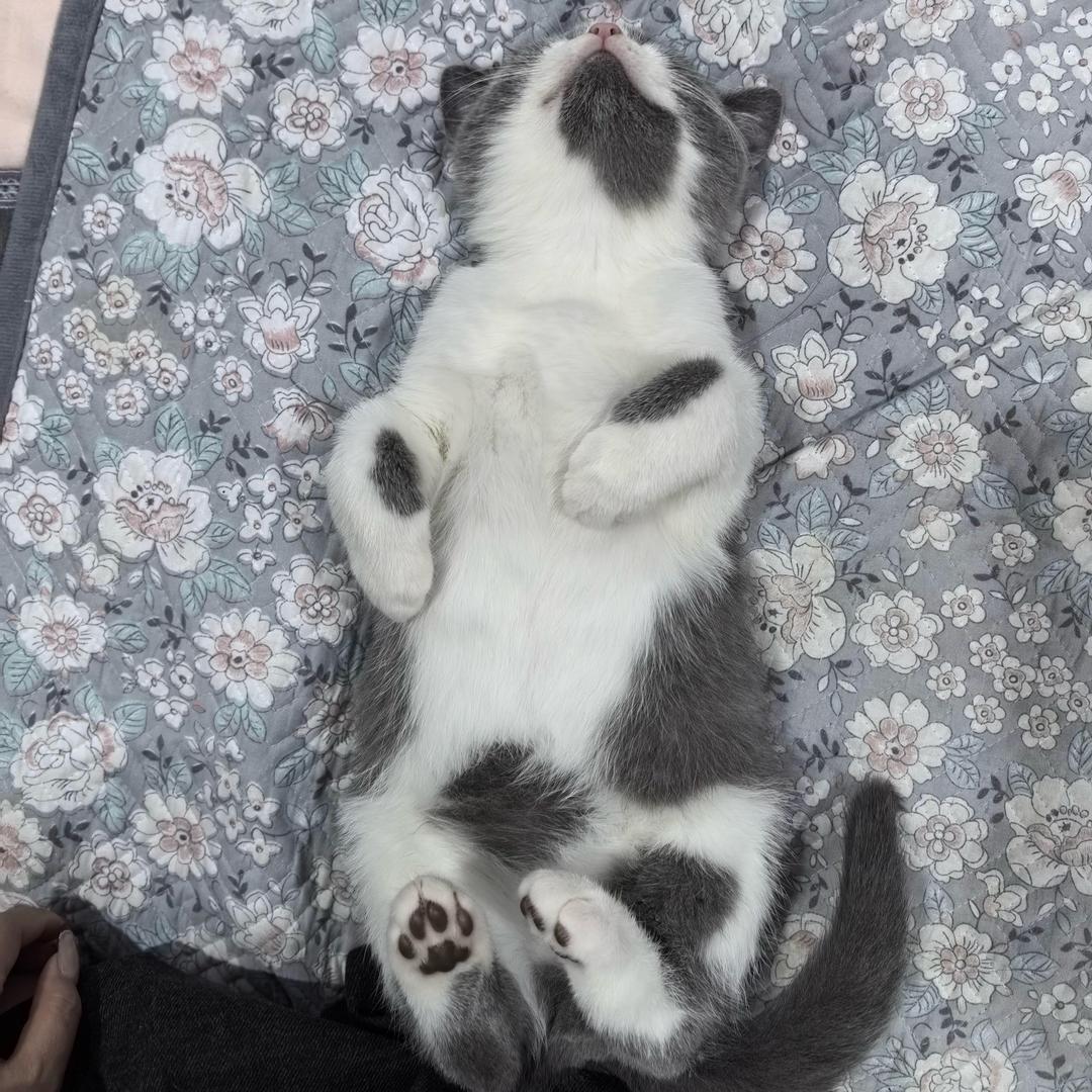 李同學😊