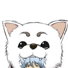 áoωū🐺