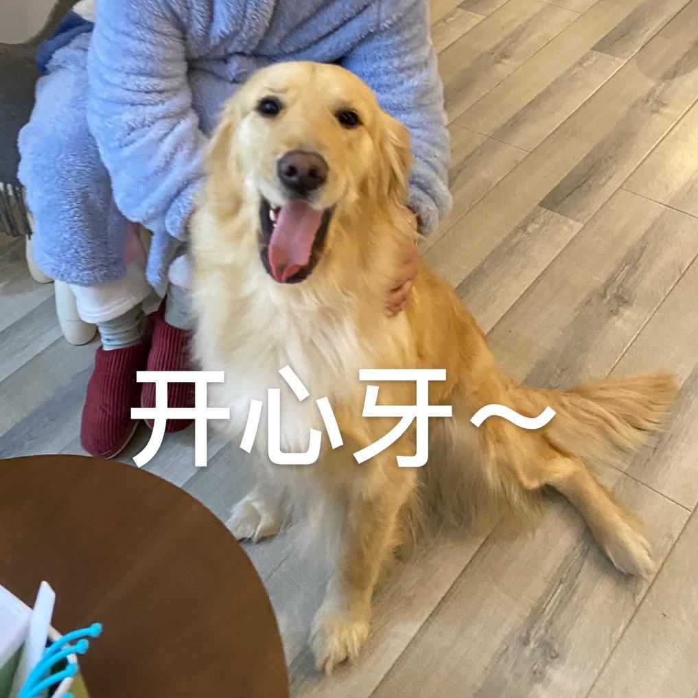 蝴蝶是条大金毛