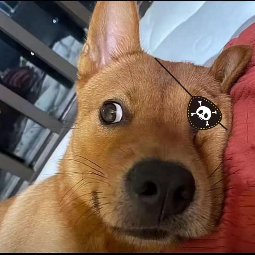 L^_^