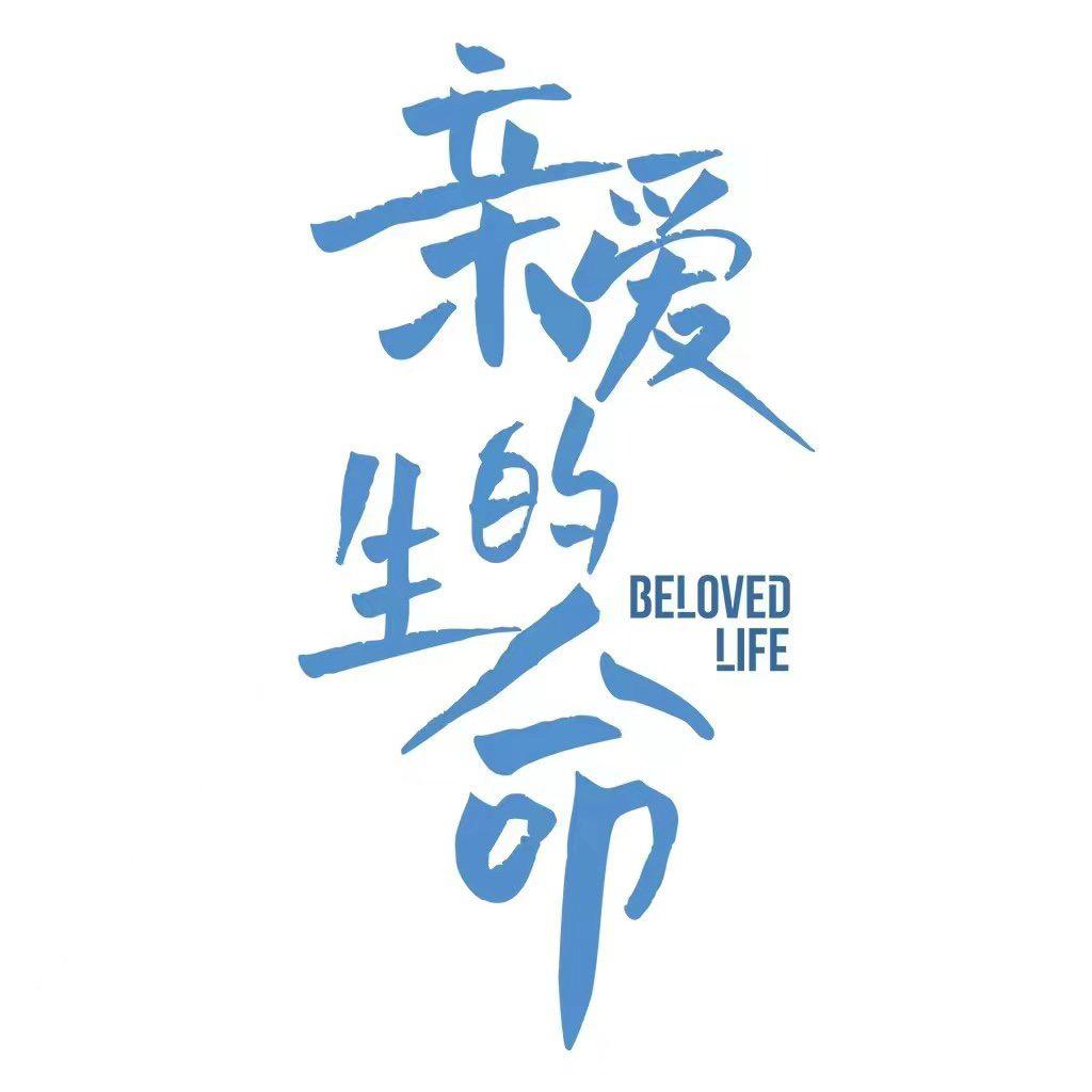 电视剧亲爱的生命