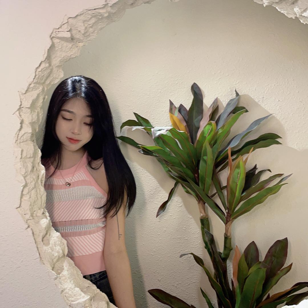 凌凌漆👾