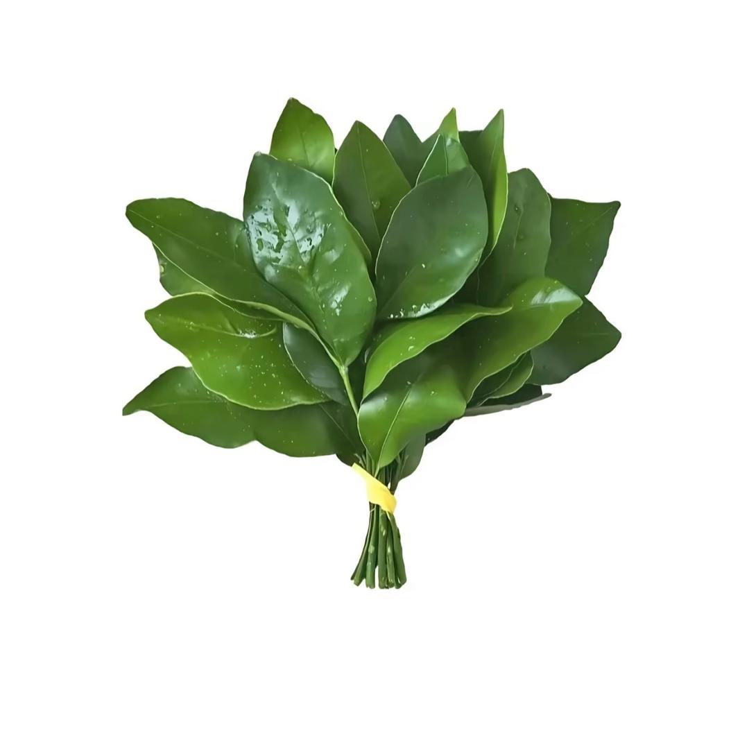 啵啵爱吃苞谷🌽