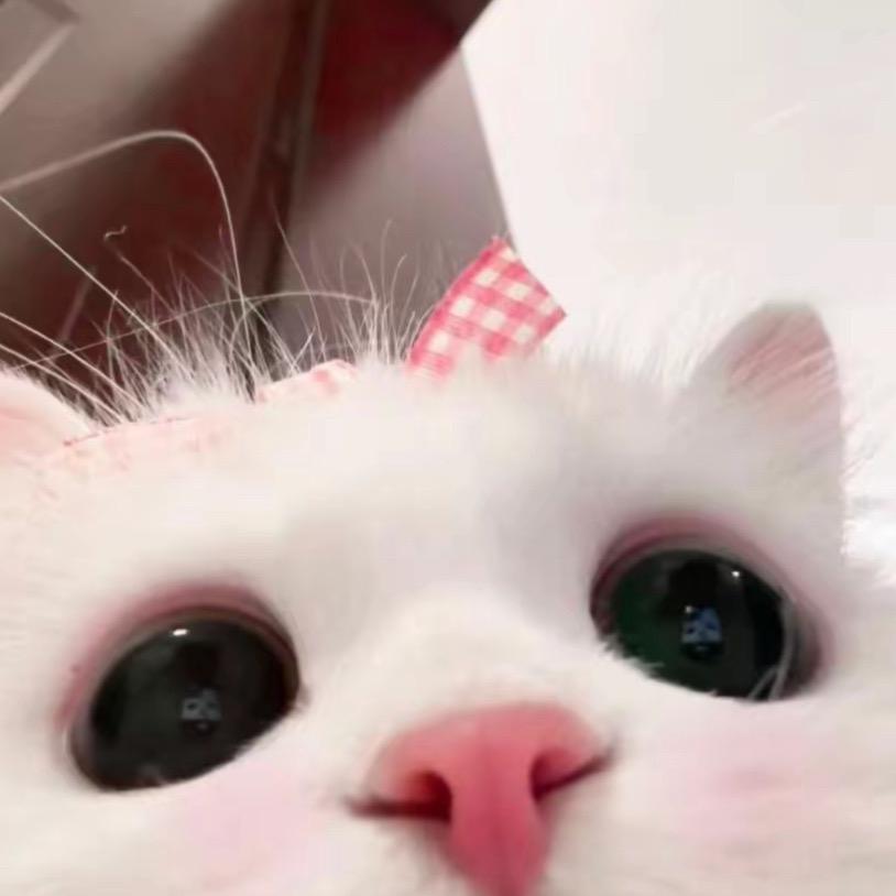 1024