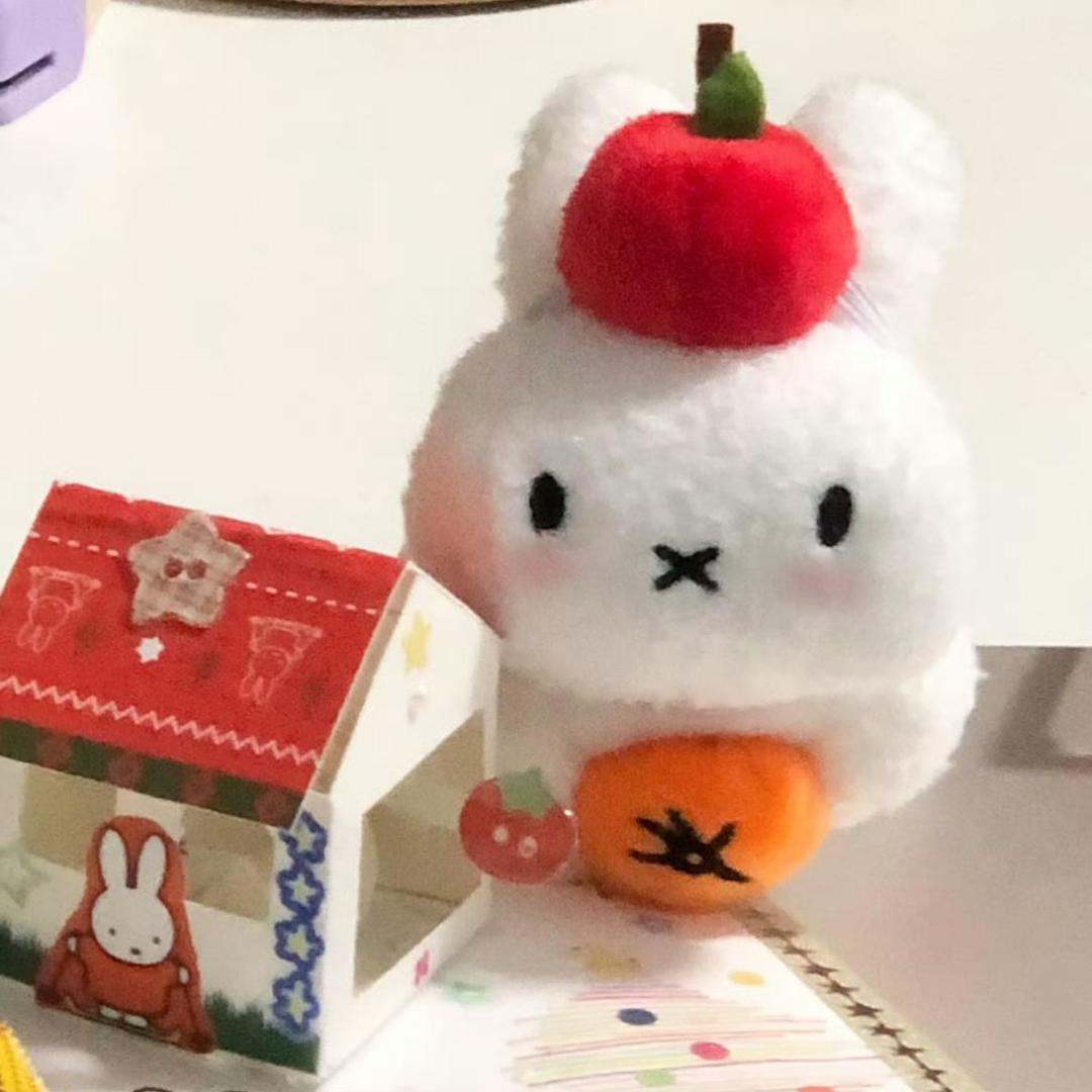 HY²• ໒꒱