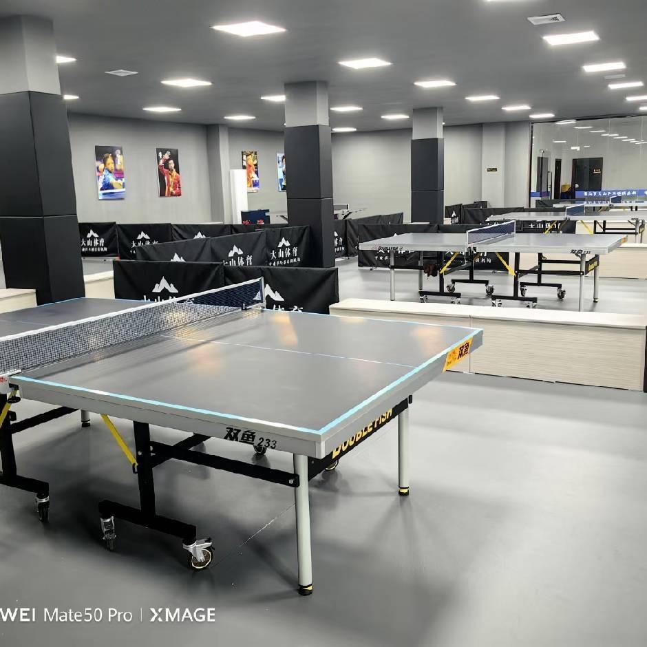 大山乒乓球