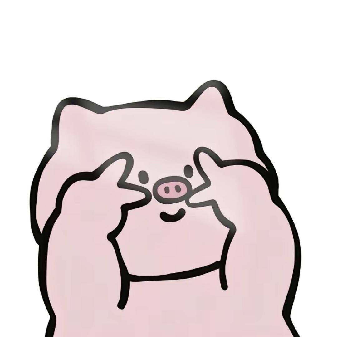 小Niko