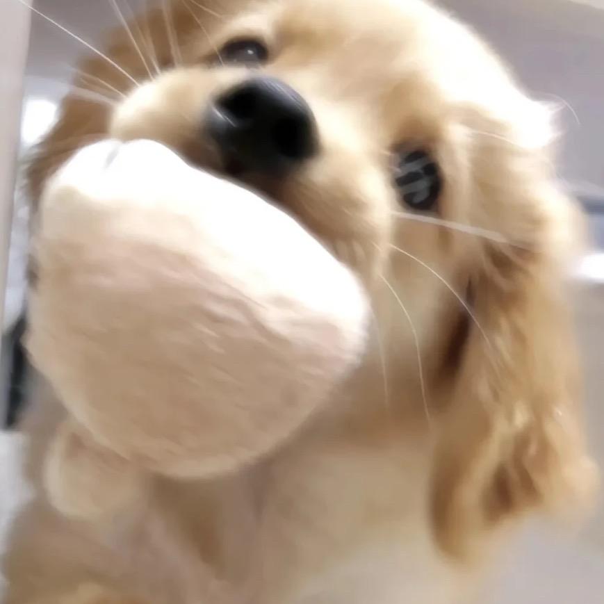 吃不饱