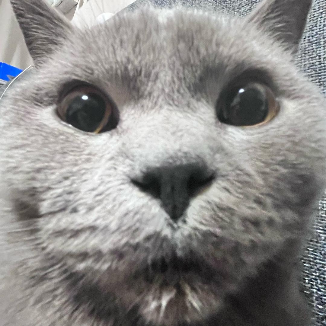 乡间小鱼