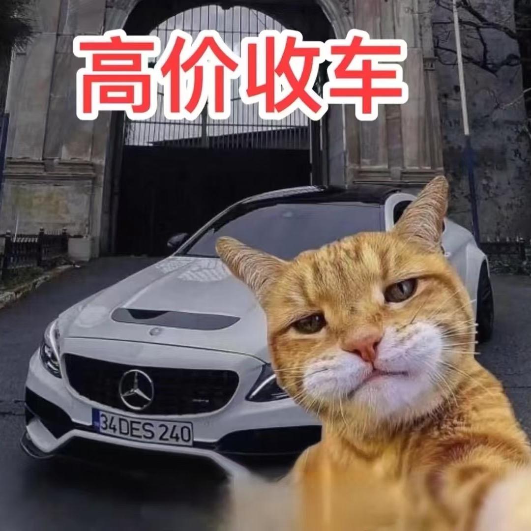 啊俊🚗