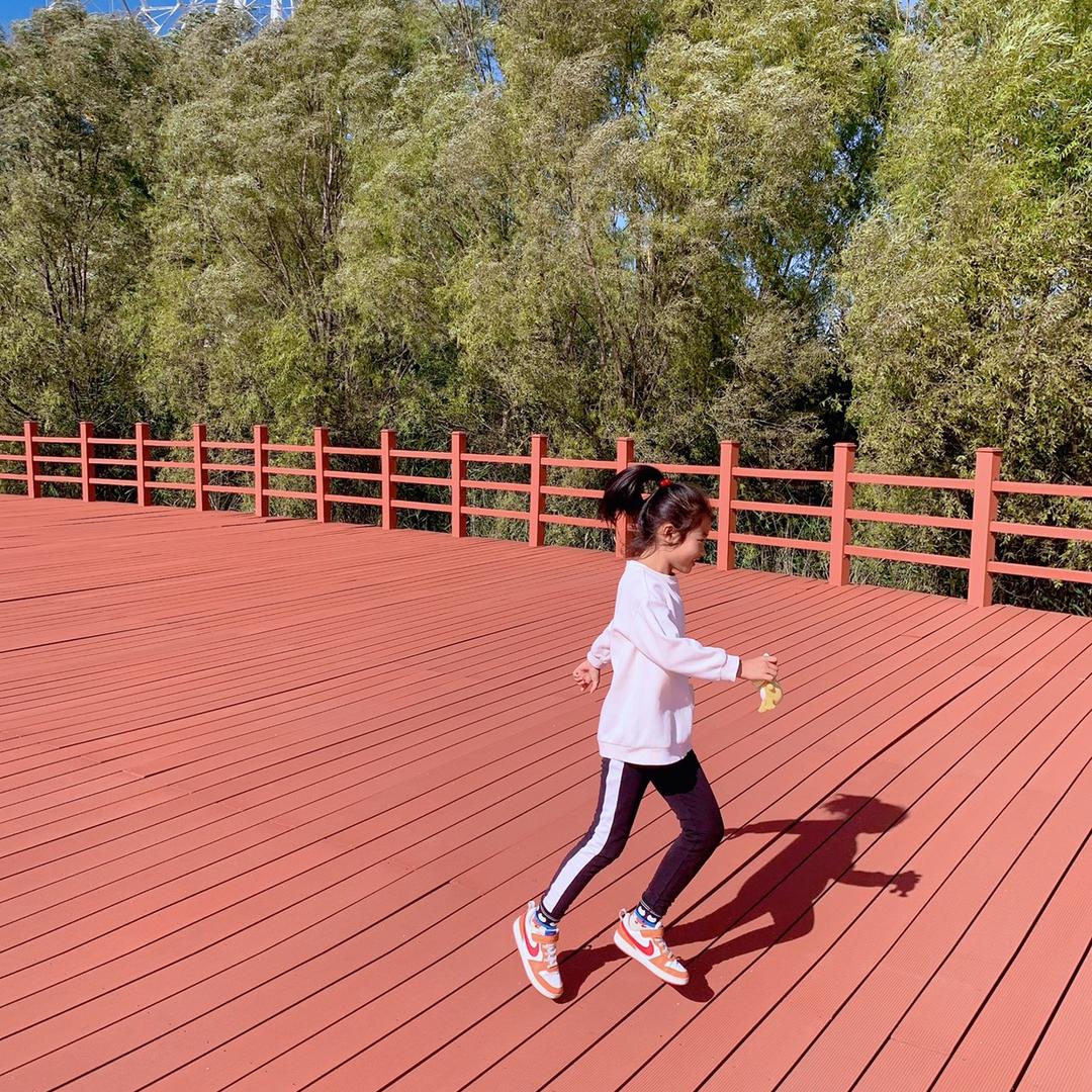 黎明后的小女人