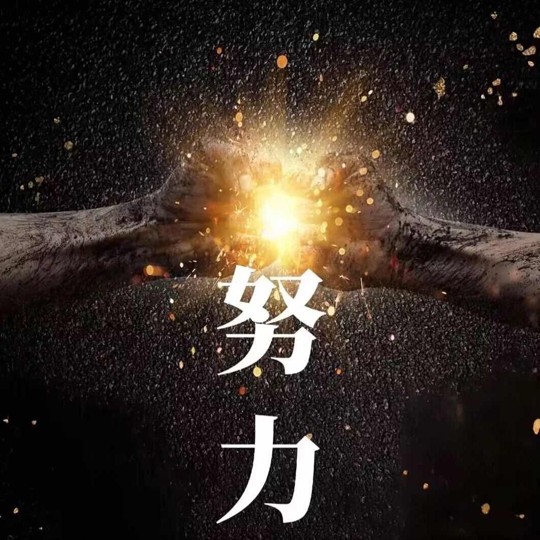小老虎紫砂2号