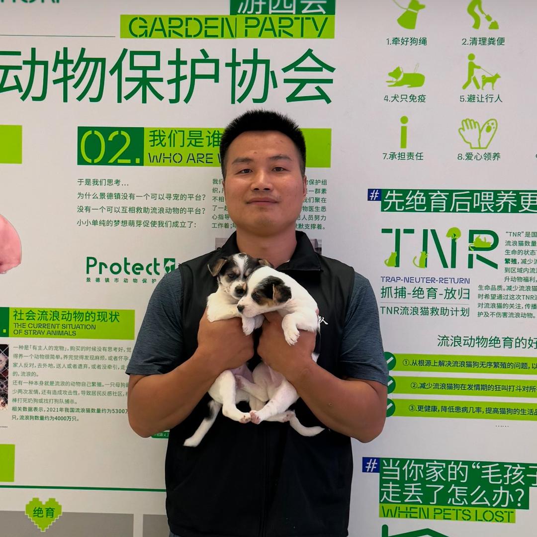 三毛团队小毛