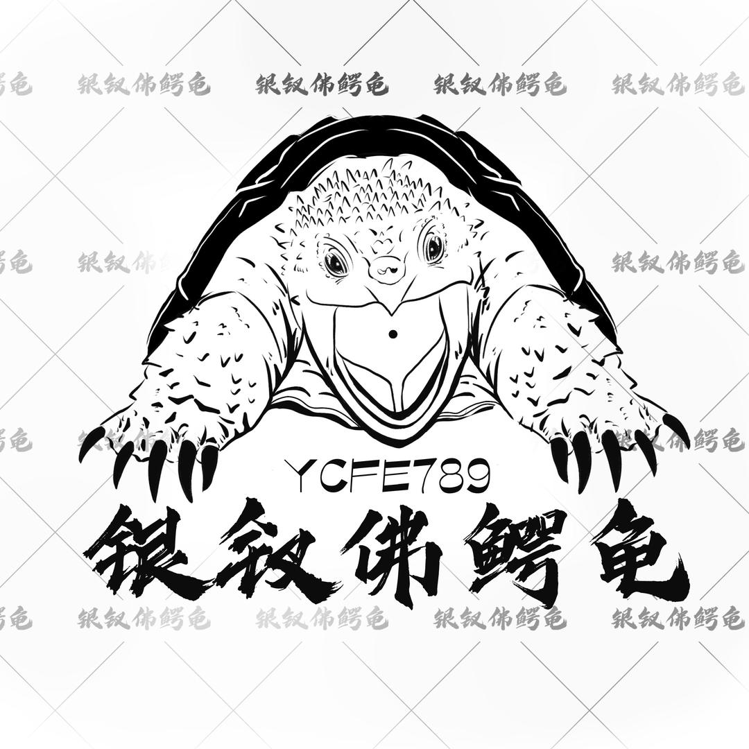 银钗佛鳄龟