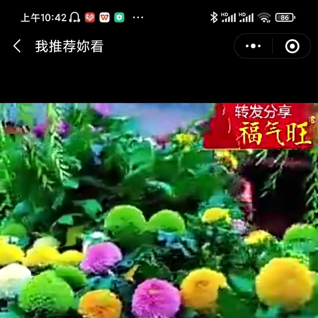 美丽的春天