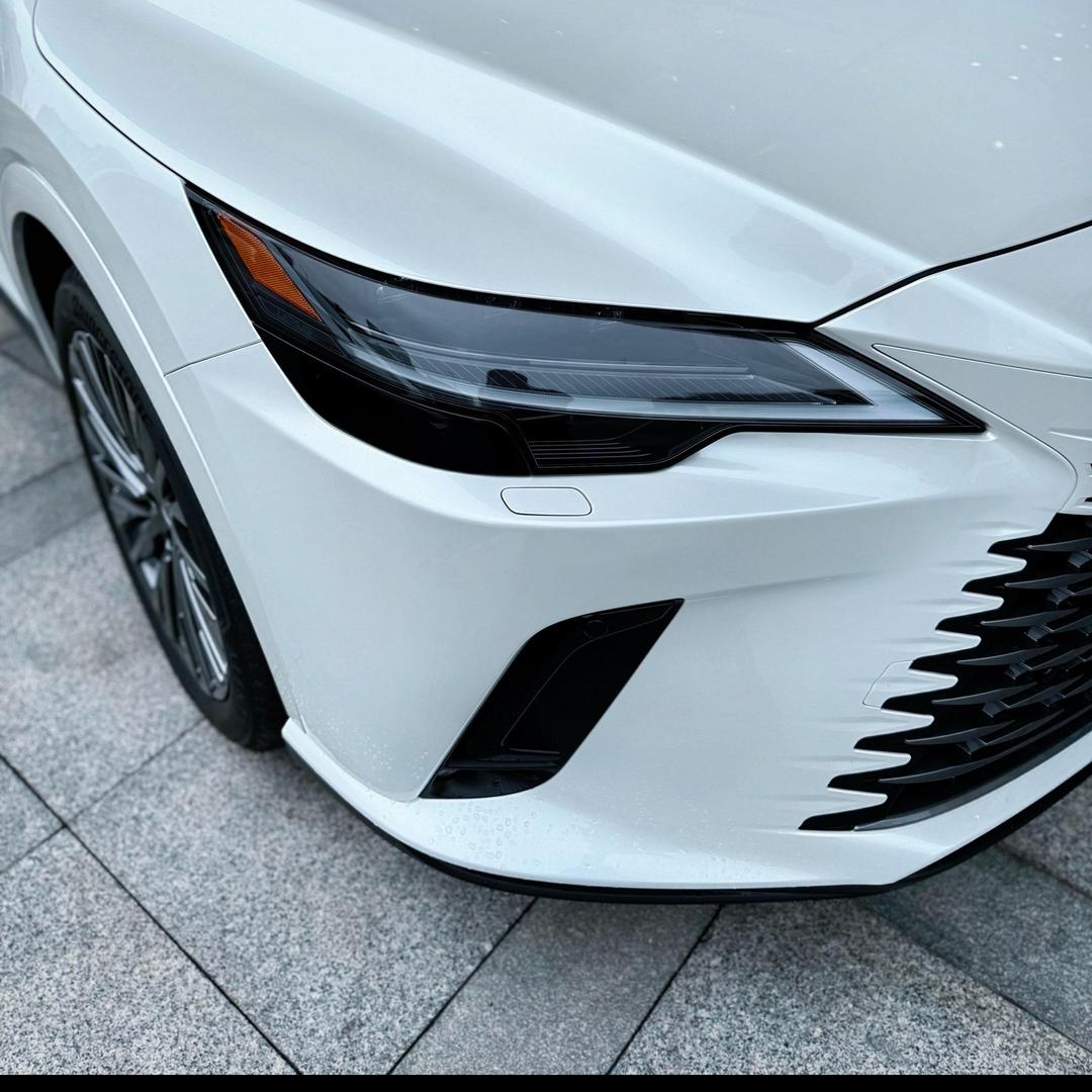 LEXUS高师傅