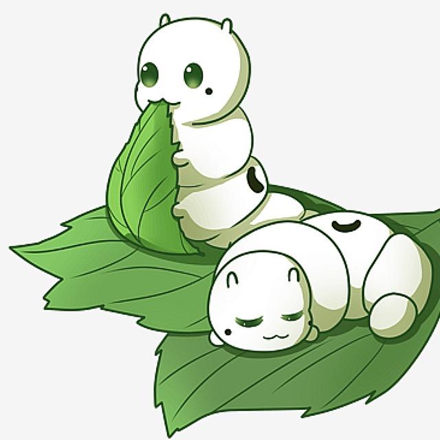 草本丝绸100%（二掌柜）