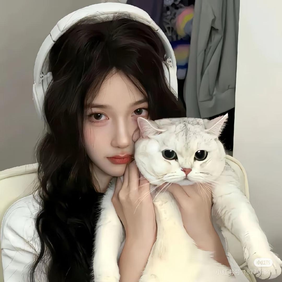 猫兜（助眠版）9.11生日庆