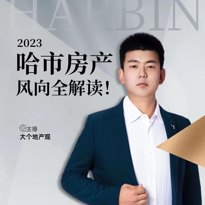 大个地产观