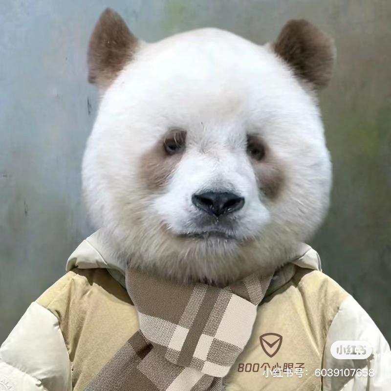 叫我七仔