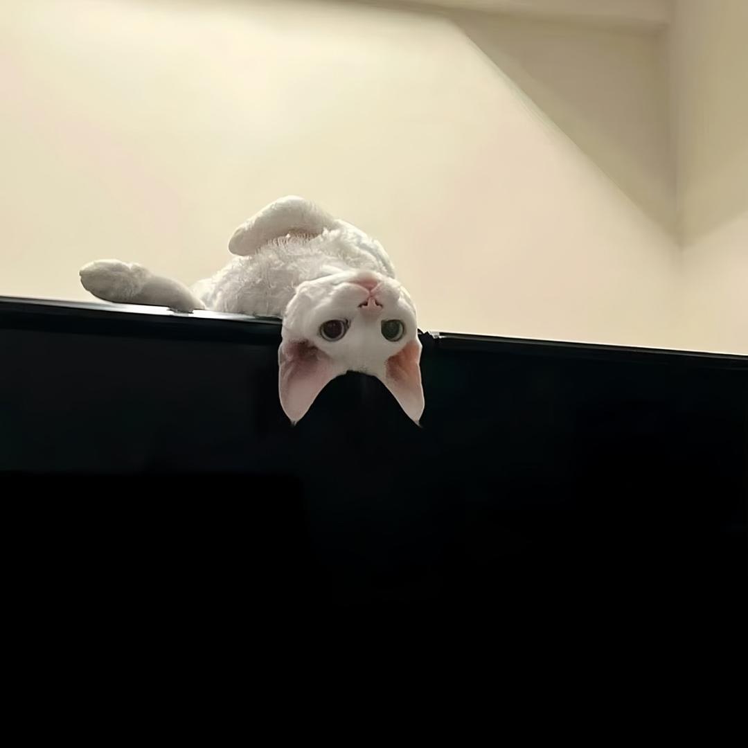 An‘