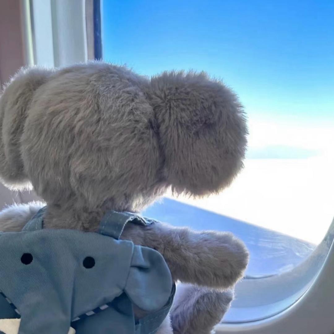 晴天宝贝baby shoes