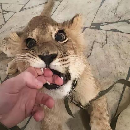 ㅤㅤ 　 ㅤㅤ 　 ㅤㅤ