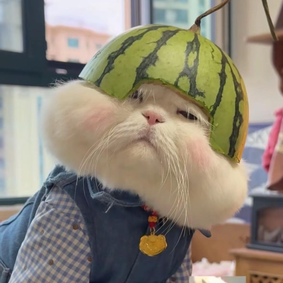 嗷嗷呦