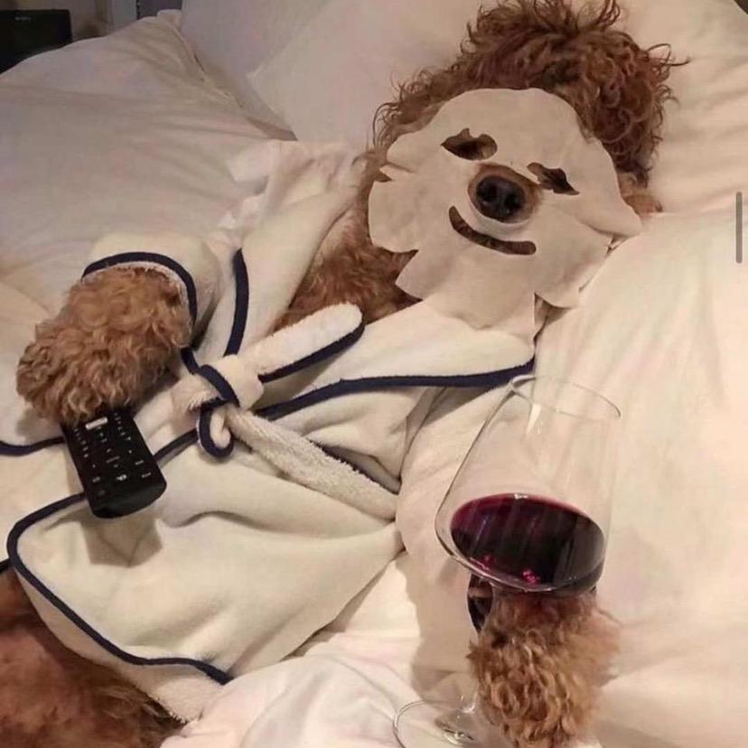 大神金👱🏻‍♀️