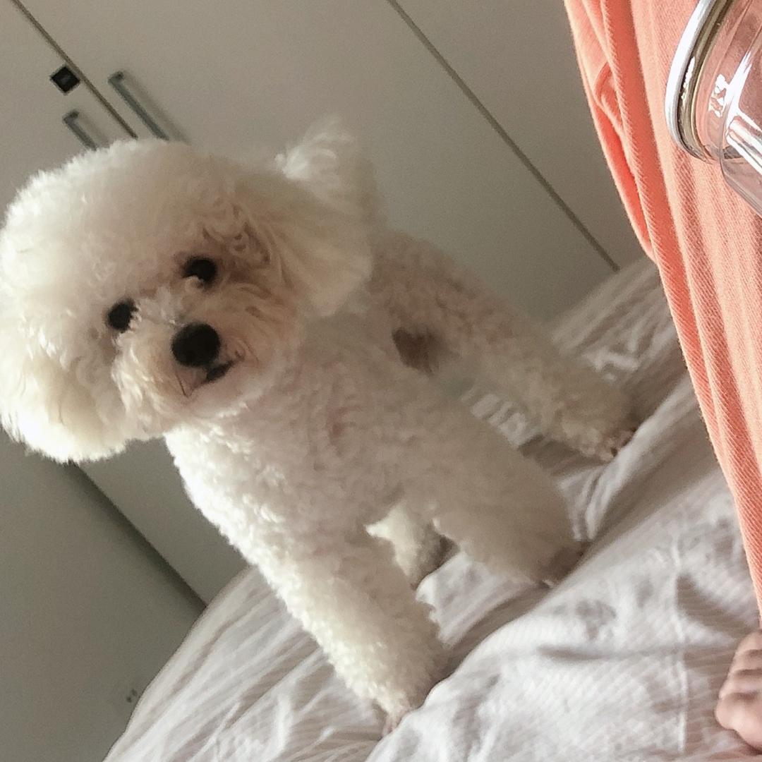 雪雪子