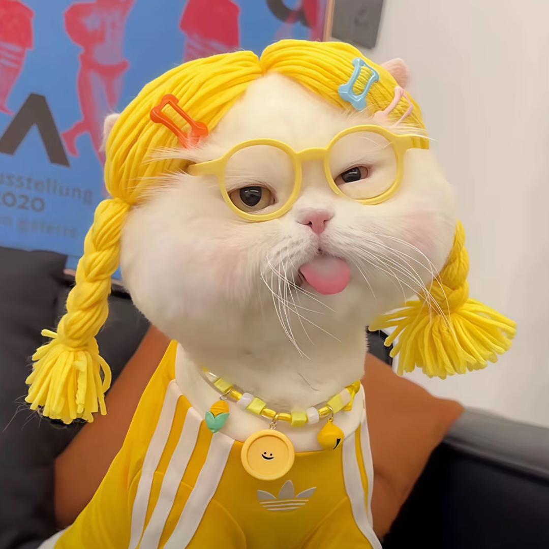 元气小姐姐