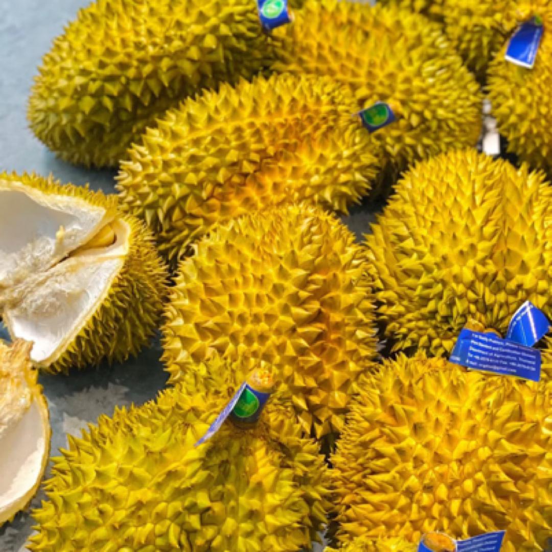 家之福榴莲产地直达