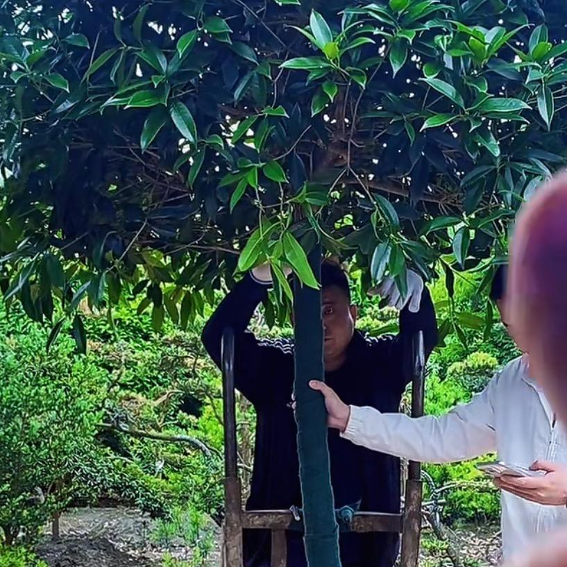 生意兴隆