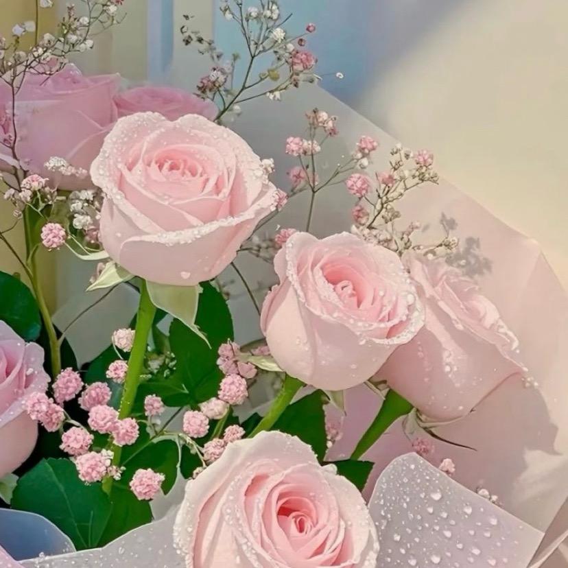 健喜多保健品专营店